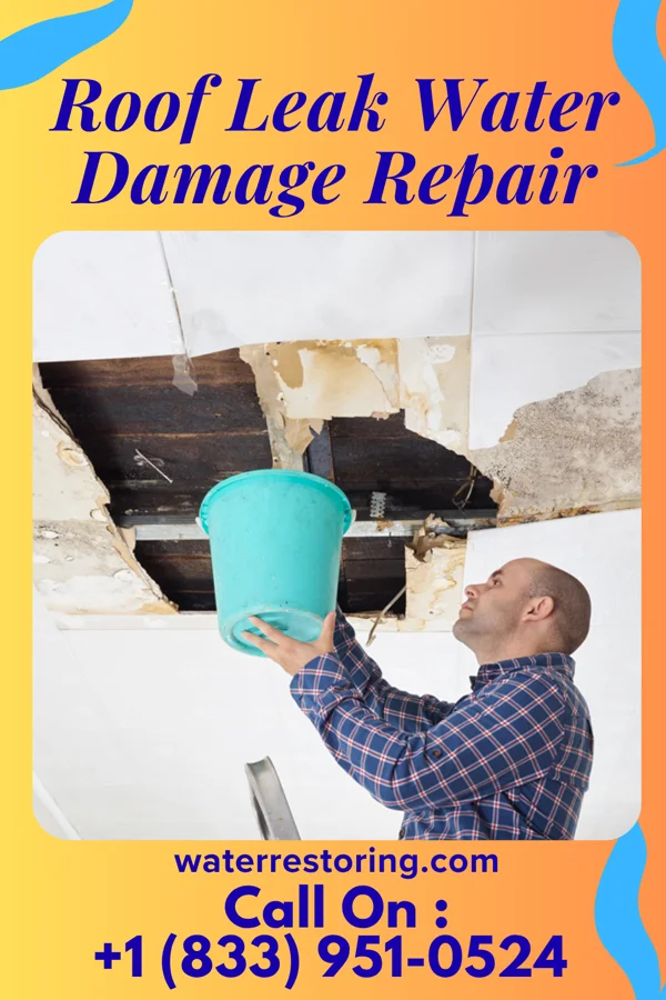 Roof Leak Water Damage Repair in Wrens, GA
